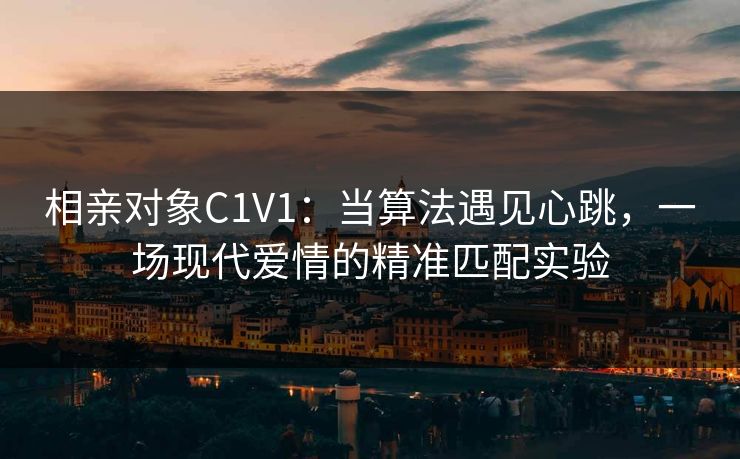 相亲对象C1V1:当算法遇见心跳,一场现代爱情的精准匹配实验